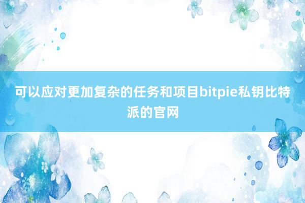 可以应对更加复杂的任务和项目bitpie私钥比特派的官网