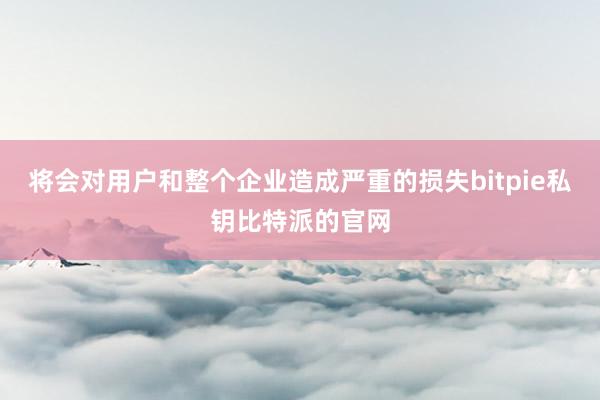 将会对用户和整个企业造成严重的损失bitpie私钥比特派的官网