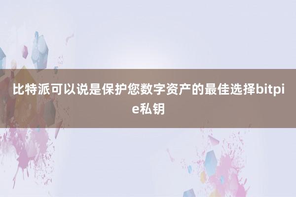 比特派可以说是保护您数字资产的最佳选择bitpie私钥