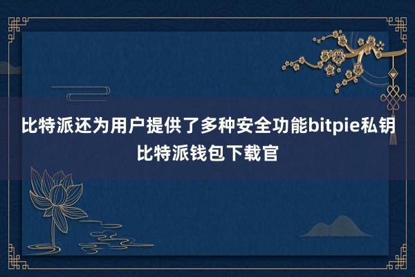 比特派还为用户提供了多种安全功能bitpie私钥比特派钱包下载官