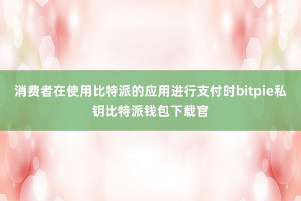 消费者在使用比特派的应用进行支付时bitpie私钥比特派钱包下载官