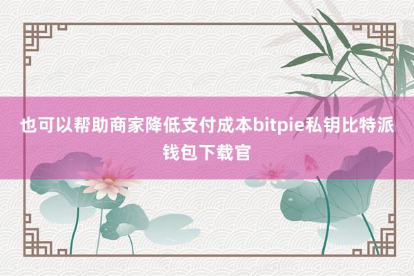 也可以帮助商家降低支付成本bitpie私钥比特派钱包下载官