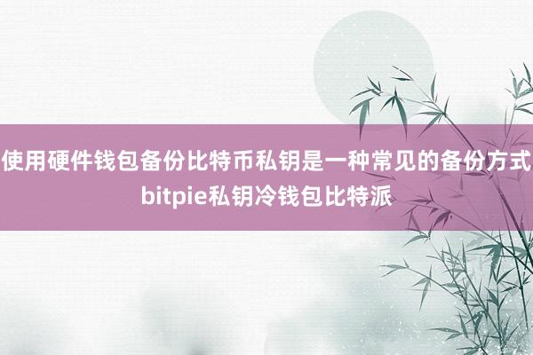 使用硬件钱包备份比特币私钥是一种常见的备份方式bitpie私钥冷钱包比特派