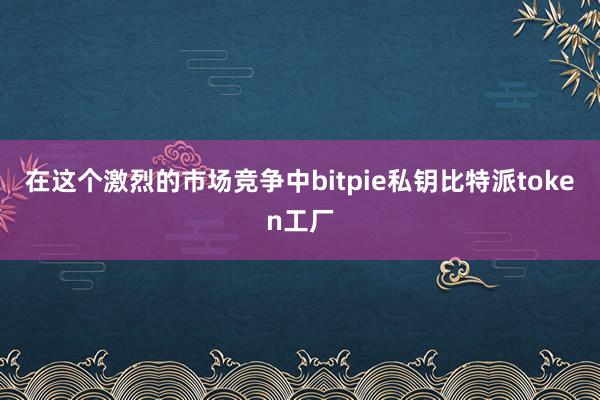 在这个激烈的市场竞争中bitpie私钥比特派token工厂