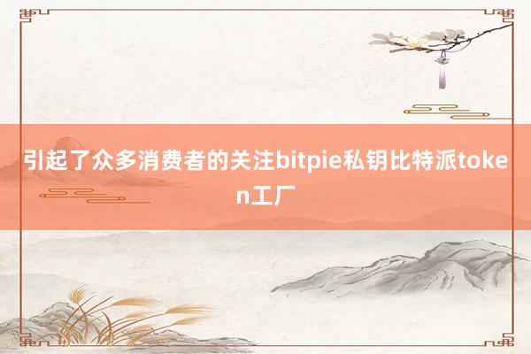 引起了众多消费者的关注bitpie私钥比特派token工厂