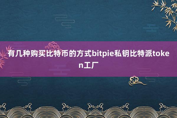 有几种购买比特币的方式bitpie私钥比特派token工厂