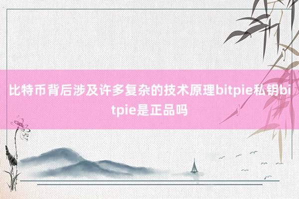 比特币背后涉及许多复杂的技术原理bitpie私钥bitpie是正品吗