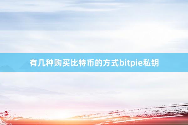 有几种购买比特币的方式bitpie私钥