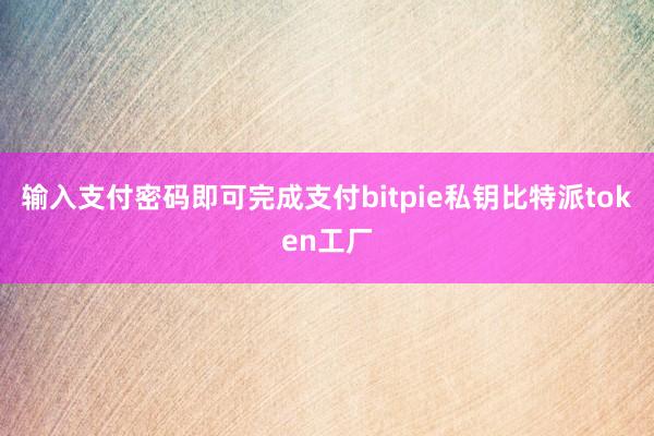 输入支付密码即可完成支付bitpie私钥比特派token工厂