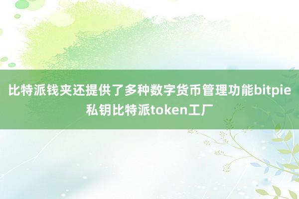 比特派钱夹还提供了多种数字货币管理功能bitpie私钥比特派token工厂