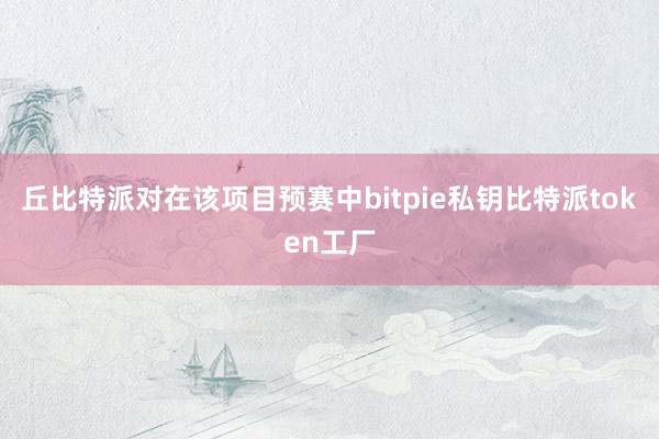 丘比特派对在该项目预赛中bitpie私钥比特派token工厂