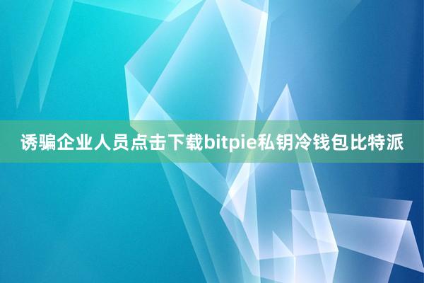 诱骗企业人员点击下载bitpie私钥冷钱包比特派