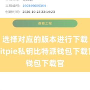 选择对应的版本进行下载bitpie私钥比特派钱包下载官