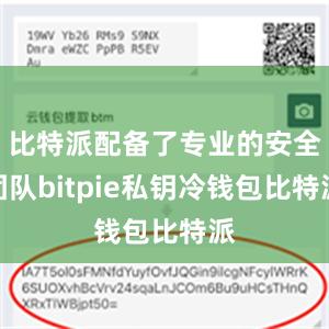 比特派配备了专业的安全团队bitpie私钥冷钱包比特派