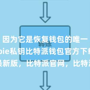 因为它是恢复钱包的唯一途径bitpie私钥比特派钱包官方下载最新版，比特派官网，比特派钱包，比特派下载