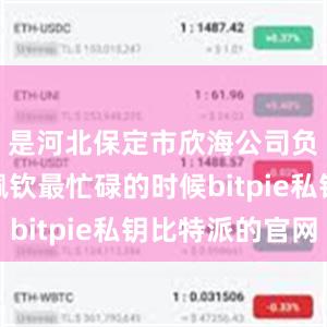 是河北保定市欣海公司负责人杨佩钦最忙碌的时候bitpie私钥比特派的官网