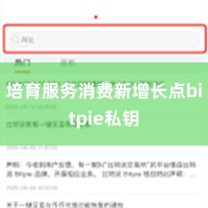 培育服务消费新增长点bitpie私钥