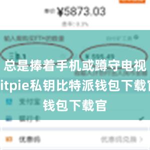 总是捧着手机或蹲守电视bitpie私钥比特派钱包下载官