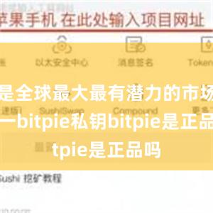 是全球最大最有潜力的市场之一bitpie私钥bitpie是正品吗