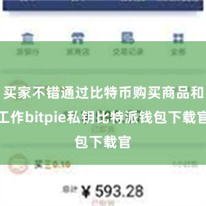 买家不错通过比特币购买商品和工作bitpie私钥比特派钱包下载官