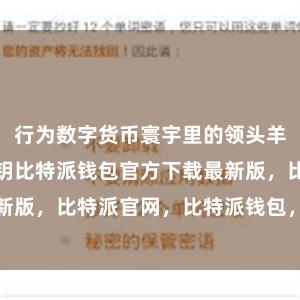 行为数字货币寰宇里的领头羊bitpie私钥比特派钱包官方下载最新版，比特派官网，比特派钱包，比特派下载