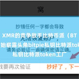 XMR的竞争敌手比特币派（BTC）也初始崭露头角bitpie私钥比特派token工厂