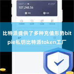 比特派提供了多种充值形势bitpie私钥比特派token工厂