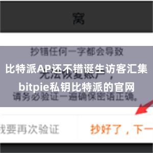 比特派AP还不错诞生访客汇集bitpie私钥比特派的官网